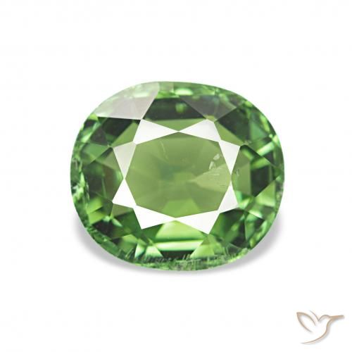 1.32ct الأخضر الغامق تورمالين, بيضوي, قليلا جدا