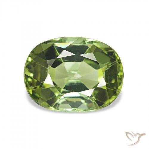 1.65ct أخضر الغابات تورمالين, وسادة, قليلا جدا