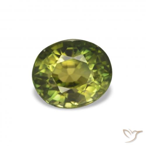 1.58ct Medium Dark-Green تورمالين, بيضوي, VVS-VS