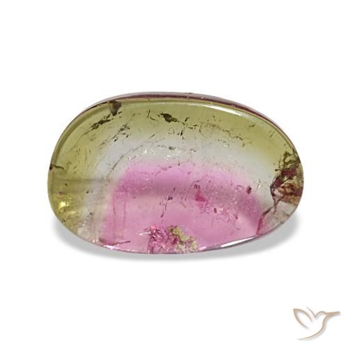 1.66ct متعدد الألوان تورمالين, فاخر, شفاف