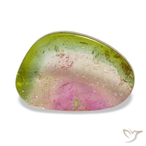 1.75ct متعدد الألوان تورمالين, فاخر, شفاف