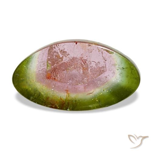 3.34ct متعدد الألوان تورمالين, فاخر, شفاف