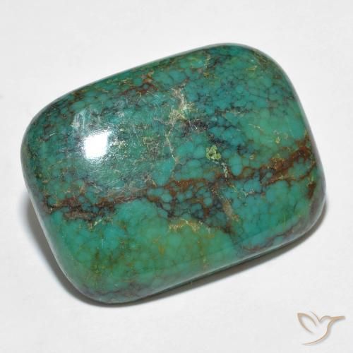 13.24ct طبيعي أخضر مزرق فيروز, وسادة, غير شفاف