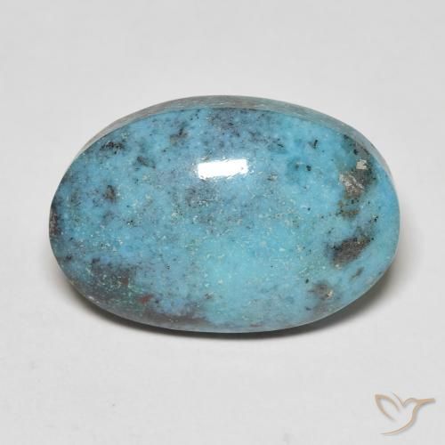 13.55ct طبيعي ازرق مخضر فيروزي, بيضوي, غير شفاف