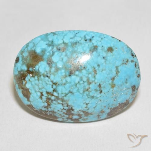 48.31ct طبيعي ازرق مخضر فيروز, بيضوي, غير شفاف