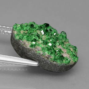 عقيق يوفاروفيت دروسى Deep Earthy Green طبيعي، فانسى، 9.86 قيراط، غير شفاف