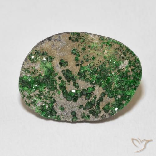 16.55ct طبيعي Deep Earthy Green عقيق يوفاروفيت دروسى, فانسى, غير شفاف