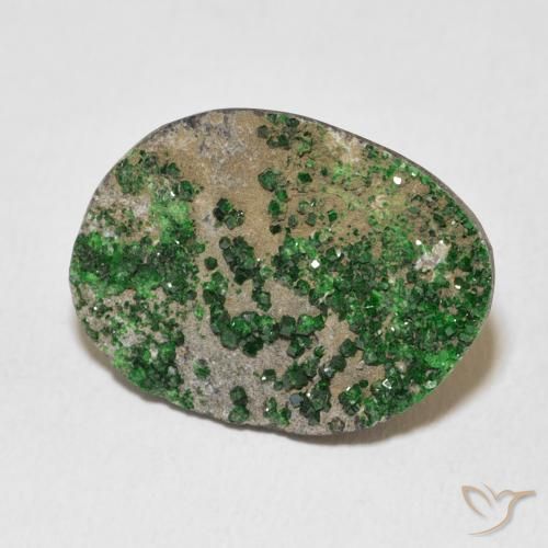 عقيق يوفاروفيت دروسى Deep Earthy Green طبيعي، فانسى، 16.55 قيراط، غير شفاف