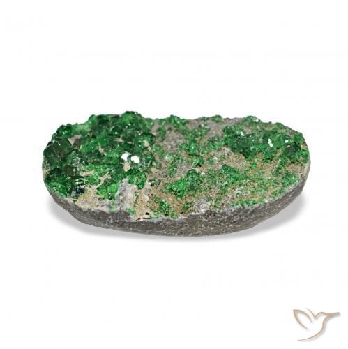 عقيق يوفاروفيت دروسى Deep Earthy Green طبيعي، بيضوي، 7.91 قيراط، غير شفاف